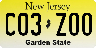 NJ license plate C03ZOO