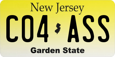 NJ license plate C04ASS