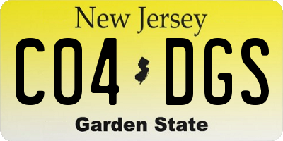 NJ license plate C04DGS