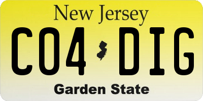 NJ license plate C04DIG
