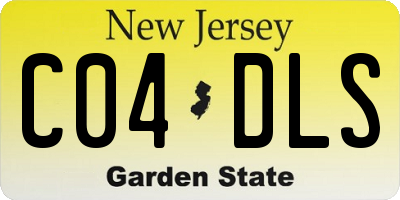 NJ license plate C04DLS