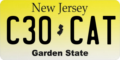 NJ license plate C30CAT
