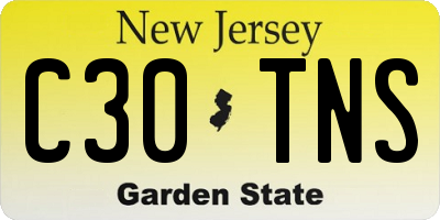 NJ license plate C30TNS