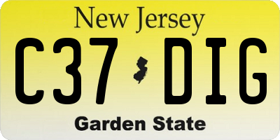 NJ license plate C37DIG