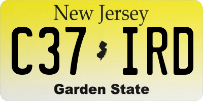 NJ license plate C37IRD