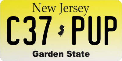 NJ license plate C37PUP