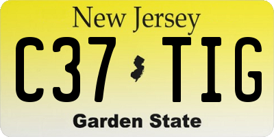 NJ license plate C37TIG