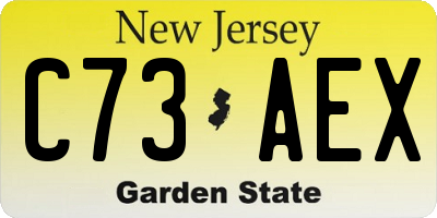 NJ license plate C73AEX