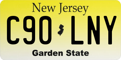 NJ license plate C90LNY