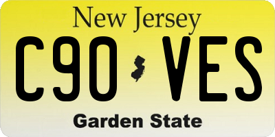 NJ license plate C90VES