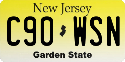 NJ license plate C90WSN