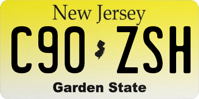 NJ license plate C90ZSH