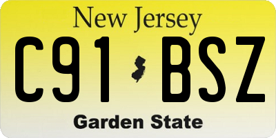 NJ license plate C91BSZ