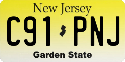 NJ license plate C91PNJ