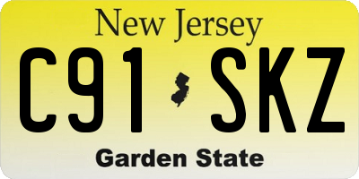NJ license plate C91SKZ