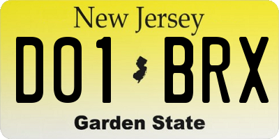 NJ license plate D01BRX