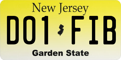 NJ license plate D01FIB