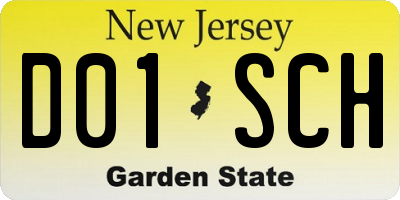 NJ license plate D01SCH