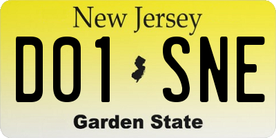 NJ license plate D01SNE