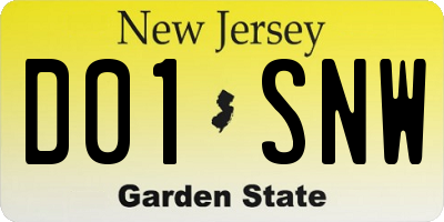 NJ license plate D01SNW