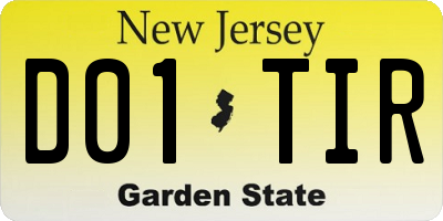 NJ license plate D01TIR