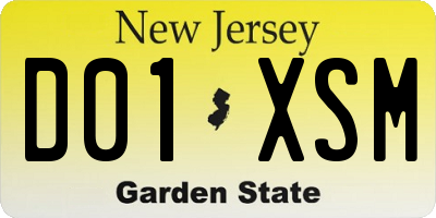 NJ license plate D01XSM