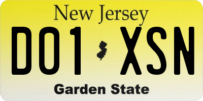 NJ license plate D01XSN