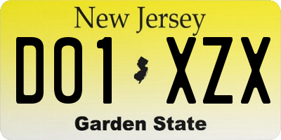 NJ license plate D01XZX