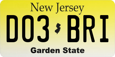 NJ license plate D03BRI