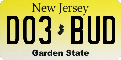 NJ license plate D03BUD