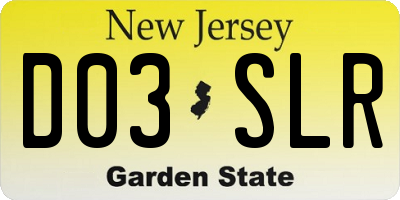 NJ license plate D03SLR