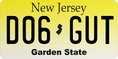 NJ license plate D06GUT