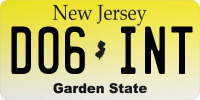 NJ license plate D06INT