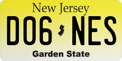 NJ license plate D06NES