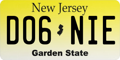 NJ license plate D06NIE