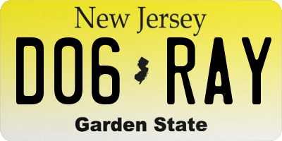 NJ license plate D06RAY