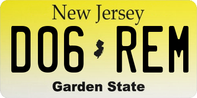 NJ license plate D06REM