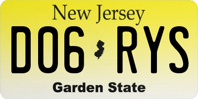 NJ license plate D06RYS