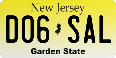 NJ license plate D06SAL