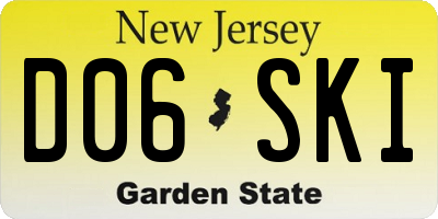 NJ license plate D06SKI
