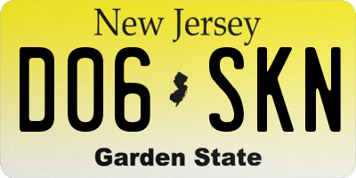 NJ license plate D06SKN