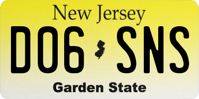 NJ license plate D06SNS