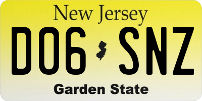 NJ license plate D06SNZ