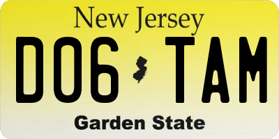 NJ license plate D06TAM