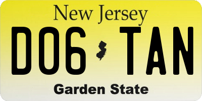 NJ license plate D06TAN