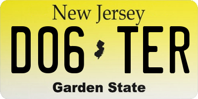 NJ license plate D06TER