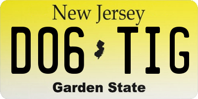 NJ license plate D06TIG