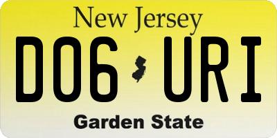 NJ license plate D06URI