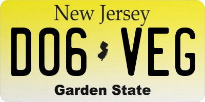 NJ license plate D06VEG