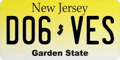 NJ license plate D06VES